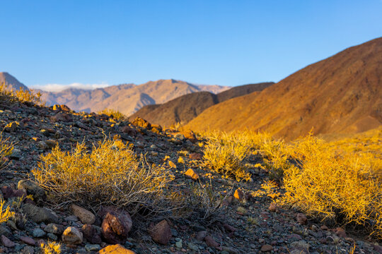 Arid Landscape with Mountains and Sparse Vegetation in Kyrgyzstan
