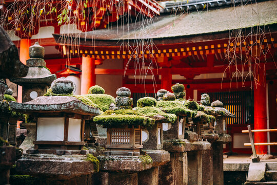 Stone lanterns lining the pathway of Kasuga Taisha (Kasuga Grand Shrine) in Nara, Japan.