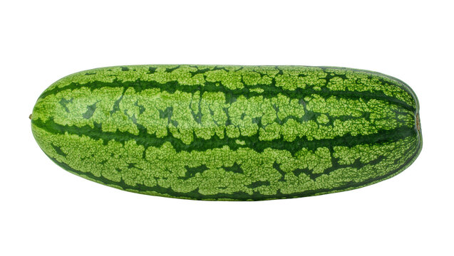 Long green striped watermelon with textured rind, isolated on transparent background
