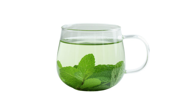 Clear glass mug filled with refreshing green mint tea, isolated on transparent background