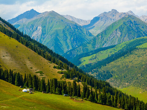 Mountain Landscape with Yurt and Evergreen Trees in Kyrgyzstan
