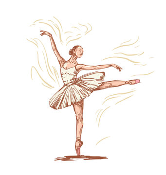 Vector sketch of  elegant ballerina dancing in tutu with realistic pencil stroke texture and hatching style