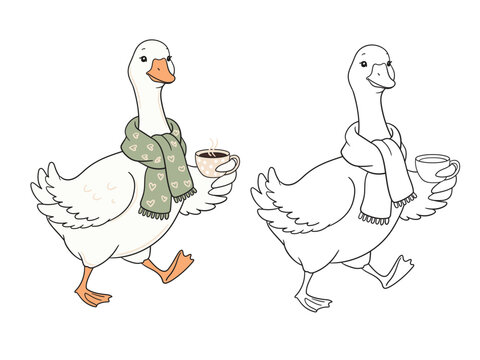 Cute winter goose holding a coffee cup vector illustration. Cozy gander character in scarf with hot drink in color and line art