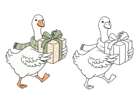 Cute Christmas goose holding gift box vector illustration. Cozy gander character in scarf with holiday present in color and line art