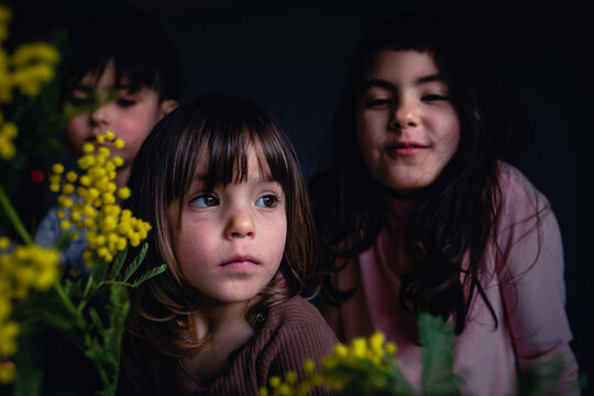 Three young sisters looking through bright yellow mimosa flowers in moody lighting