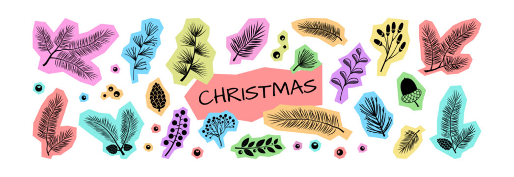Christmas fir and pinecone, holly berry. Winter pine branch, needle spruce paper colorful sticker. Xmas evergreen plant drawn, holiday scrapbook decor isolated on white background. Vector illustration