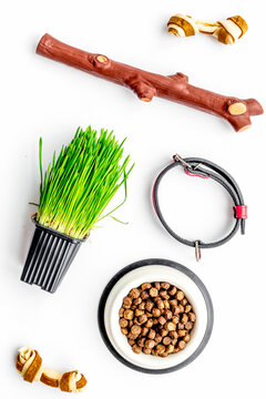 Toys for dog stick and ribbon bone near collar, dry food in bowl and grass in pot on white background top view