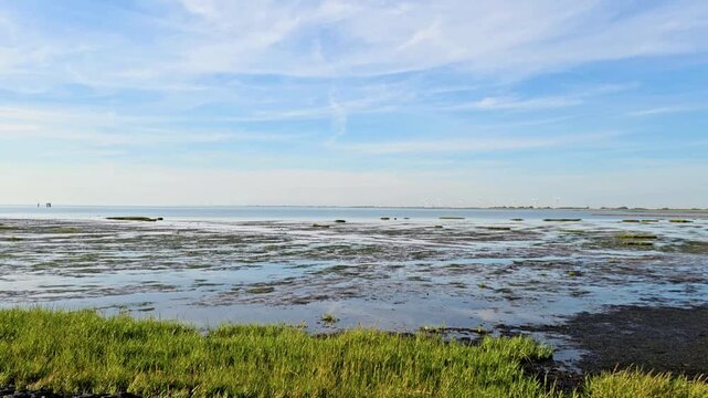 North Sea ebb tide exposing wet mudflats under a blue sky, North Frisia, Schleswig-Holstein, Germany, Europe. Muddy shoreline of North Sea slowly reflecting sunlight during ebb tide under wispy clouds