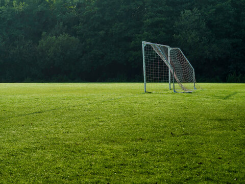 Soccer goal stands alone on vibrant green field. Raindrops cling to net, reflecting soft light. Forest trees form dark backdrop behind. Scene feels quiet, still, peaceful after storm