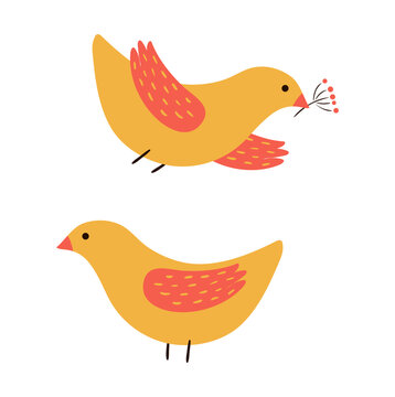 Christmas birds, standing, flying hand drawn illustration set, isolated clip art on transparent background. Holiday vector design elements collection.
