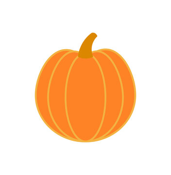 Thanksgiving pumpkin, squash illustration isolated. Traditional holiday food design elements, clip art, line vector logo. Family dinner ingredient, autumn vegetable, harvest festival, farmers market