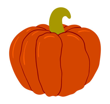 Thanksgiving pumpkin, squash illustration isolated. Traditional holiday food design elements, clip art, hand drawn vector. Family dinner ingredient, autumn vegetable, harvest festival, farmers market