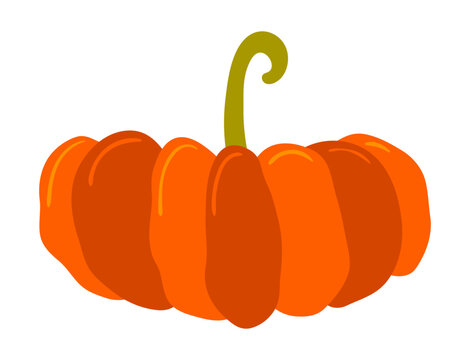 Thanksgiving pumpkin, squash illustration isolated. Traditional holiday food design elements, clip art, hand drawn vector. Family dinner ingredient, autumn vegetable, harvest festival, farmers market
