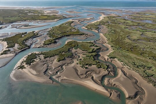 Aerial view of a winding river estuary and salt marshes at low tide