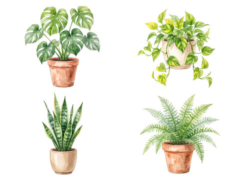 Watercolor potted houseplants isolated on a transparent background