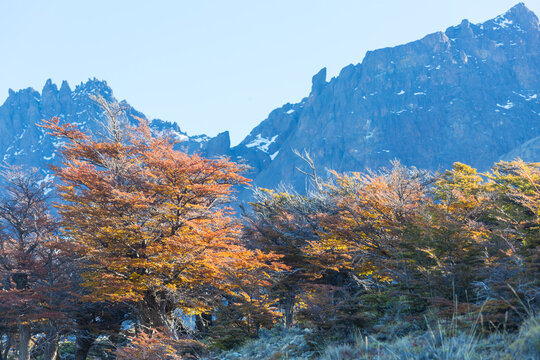 Autumn in mountains