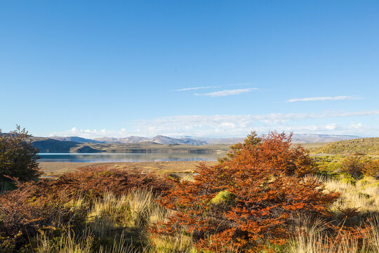 Autumn in mountains