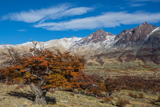 Autumn in mountains