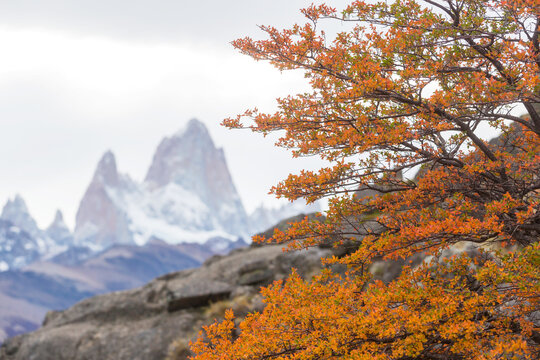 Fitz Roy