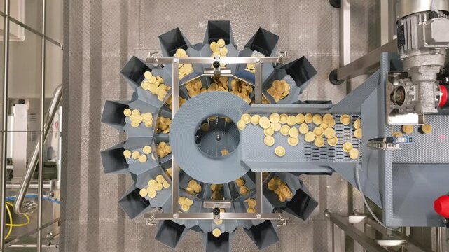An overhead camera pulls back from round pasta pieces moving into a circular sorting machine on a factory production line.
