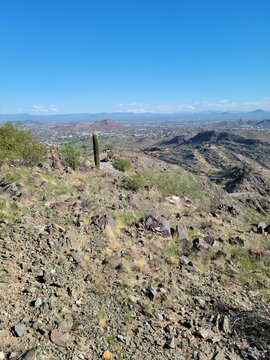 Saguaro cactus standing on a rocky desert hillside overlooking a vast valley and distant mountain ranges under a blue sky