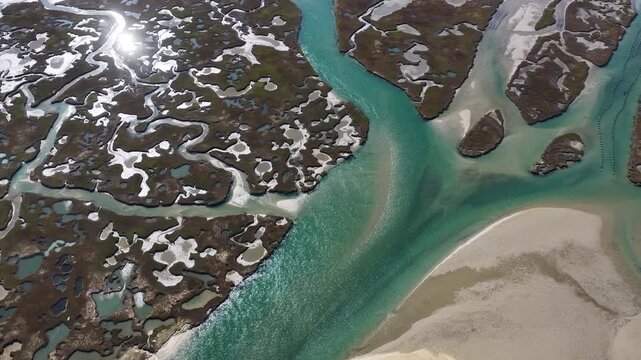 Winding channels meander through a scenic salt marsh growing on Cape Cod, Massachusetts. Salt marshes are an incredibly important coastal habitat used by many species of fish, birds, and shellfish.
