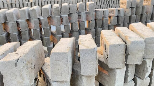 Raw clay bricks dry in long rows at a brickfield in Shariatpur beside a village settlement