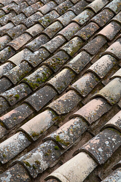 A close view of weathered clay roof tiles mottled with lichen and patches of green moss