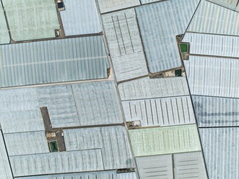 Masses of shimmering plastic greenhouses near El Ejido, aerial view, drone shot, Almer&iacute;a province, Andalusia, Spain