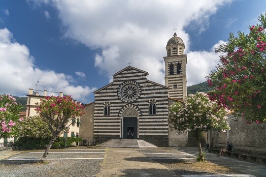 The gothic church Chiesa di Sant'Andrea Apostolo, in front oleander trees, Levanto, Riviera di Levante, Liguria, Italy