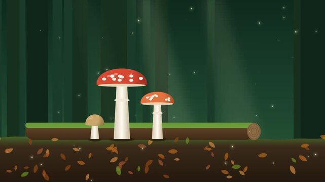 Mushrooms growing on forest floor time lapse animation, red spotted fungi sprouting by mossy log with fireflies and light rays in a dark green woods 4K