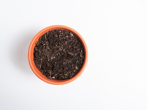 Terracotta Flower Pot Filled with Soil Isolated on White Background
