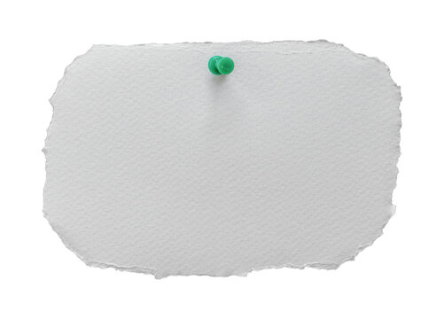 Blank white textured paper with rough torn edges and a green pushpin isolated on transparent background