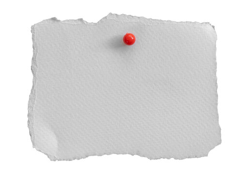 Blank rectangular white textured paper with torn edges and a red pushpin isolated on transparent background