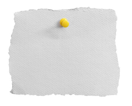 Blank white textured paper with rough torn edges and a yellow pushpin isolated on transparent background