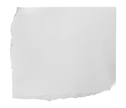 Blank white textured paper sheet with irregular torn edges isolated on transparent background