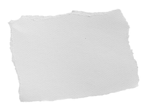 Blank white textured paper sheet with irregular torn edges and woven surface isolated on transparent background