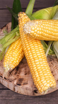Three fresh ears of corn with bright yellow kernels and green husks resting on a rustic wooden board, ready for cooking or harvest, organic farm produce vertical photo