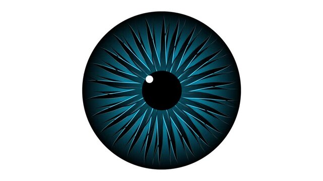 Stylized human iris close-up reveals intricate ocular patterns and pupil. Macro human iris animation represents vision, biometrics, and perception. Optical detail of a human iris.
