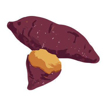 Printmaking Style Sweet Potato and Roasted Sweet Potato Vector Illustration for Autumn Food Design／版画風のさつまいも・焼き芋・秋の食材モチーフのベクターイラスト