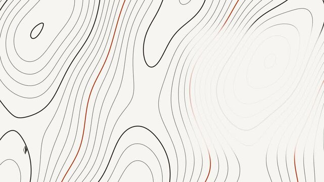 Seamless 4K looping contour animation: topographic contour lines shifting. Clean vector isolines drifting over a light background in orange and amber, built as a calm topographic pattern for titles an