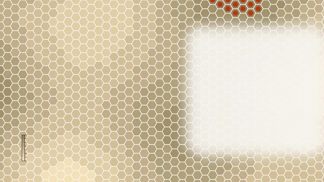 Seamless 4K looping contour animation: hex field elevation cells. Clean vector isolines drifting over a light background in yellow and gold, built as a calm topographic pattern for titles and lower th