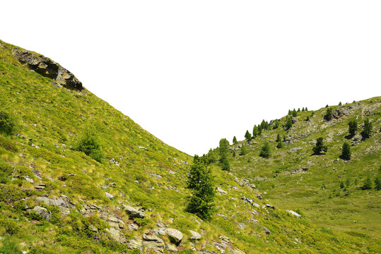 Mountain meadow with trees isolated on a transparent PNG background.	