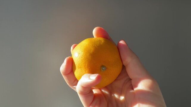 Hand Holding a Lemon Against a Plain Grey Wall in Warm Light