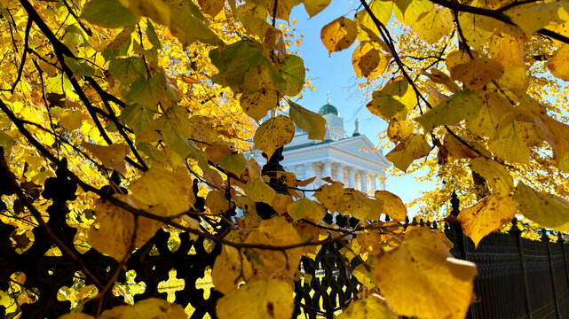 Helsinki Cathedral Behind Golden Autumn Leaves and an Iron Fence