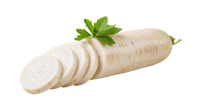 Fresh white daikon radish with sliced pieces and green herb garnish