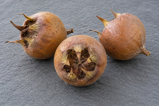 Three whole medlar fruits with broad open calyx ends