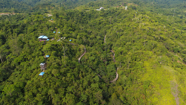 Aerial View of Scenic Wooden Boardwalk Through Green Hills at Bukit Cinta, Sorong, West Papua, Indonesia