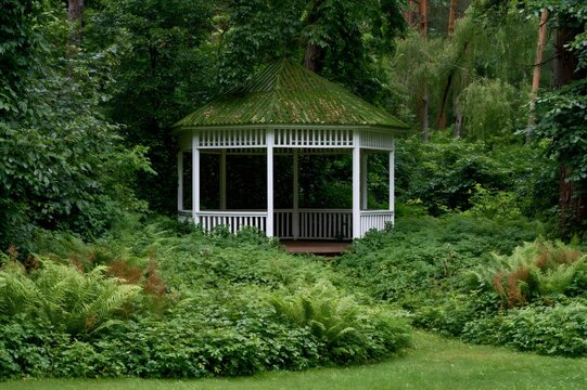 White garden gazebo surrounded by lush forest greenery