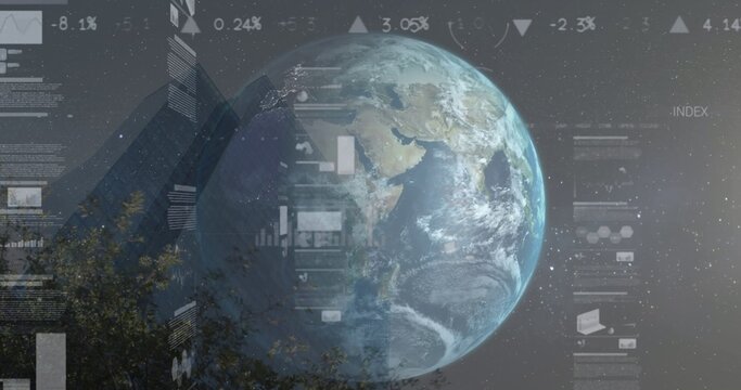 Earth globe showing data panels and bar charts against starry backdrop with tree silhouettes